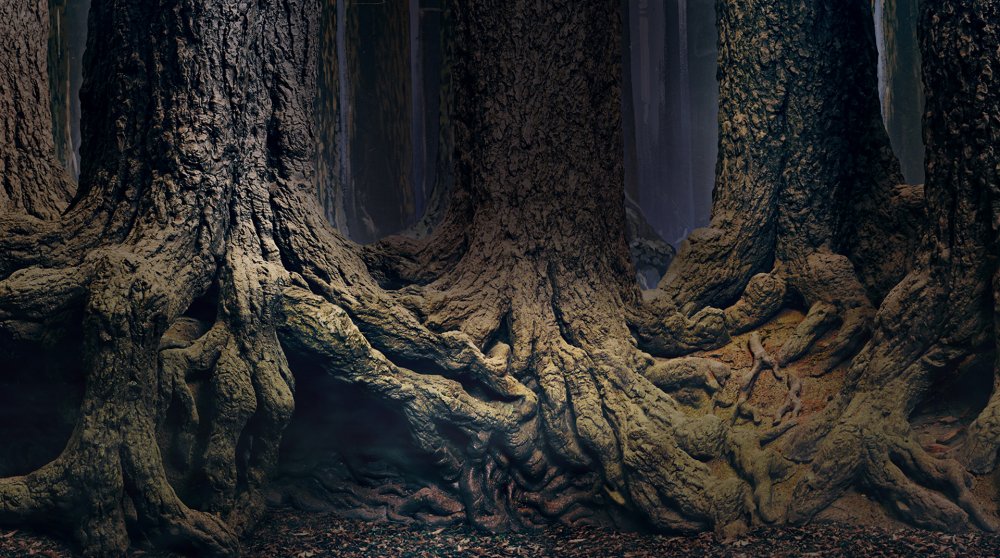 background-top-forest.thumb.jpg.c33a9ab0dc0532724f6a4c1610ce85c3.jpg