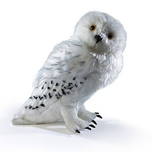 jtpt_harry_potter_hedwig_15in_plush.jpg.73822c05912ef47769ca2a2fcc52edf8.jpg