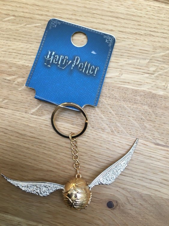 5a4783d54efd5_HarryPotterquiddichkeyring.thumb.jpg.3b06861ad94e2445be4c70ba3f14a040.jpg