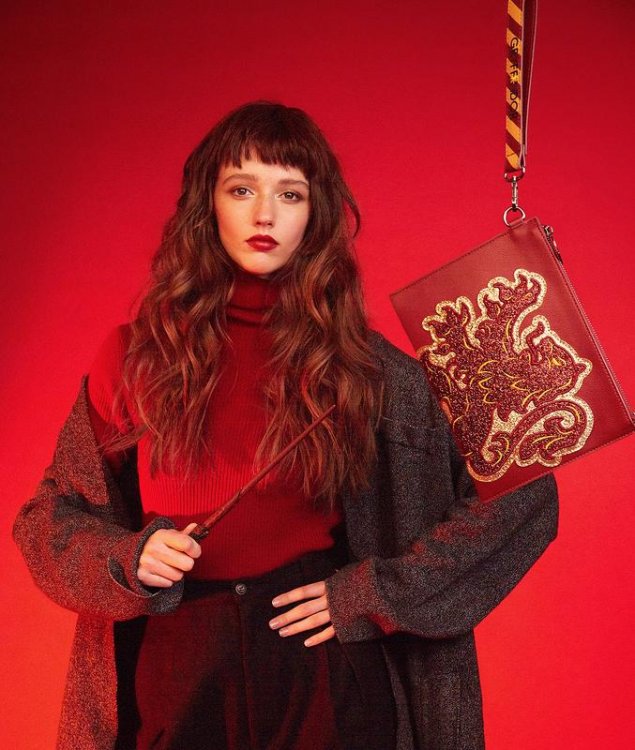 Gryffindor-House-Pouch-1_800x800.thumb.jpg.61571f27c0a00c1ea2fb39b46719438a.jpg