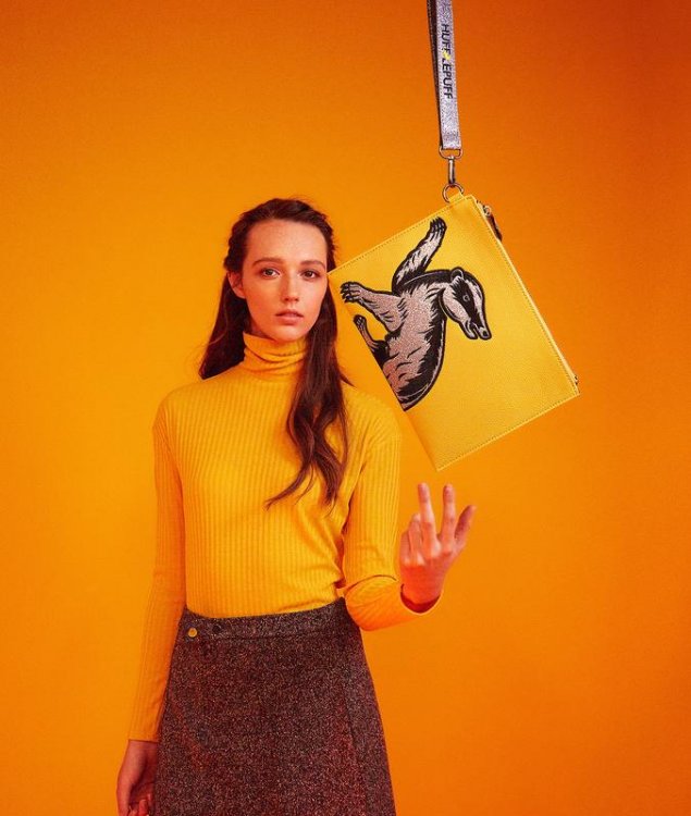 Hufflepuff-House-Pouch-1_800x800.thumb.jpg.61f8a940a5a62f2517b1433da8976246.jpg