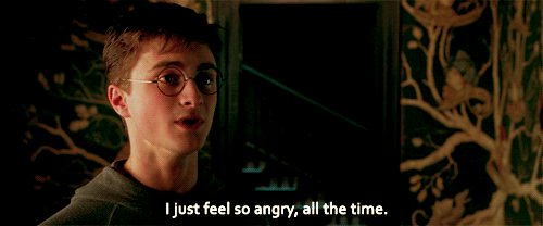 Post in Harry Potter Theories