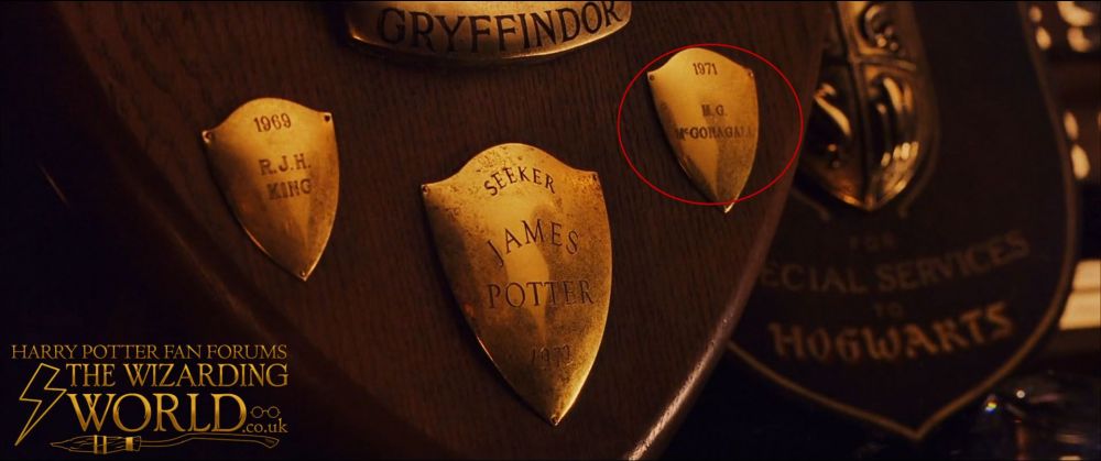 Mcgonagall.thumb.jpg.cffaa8bb61d4b8cf95b4f96b86c5faa8.jpg
