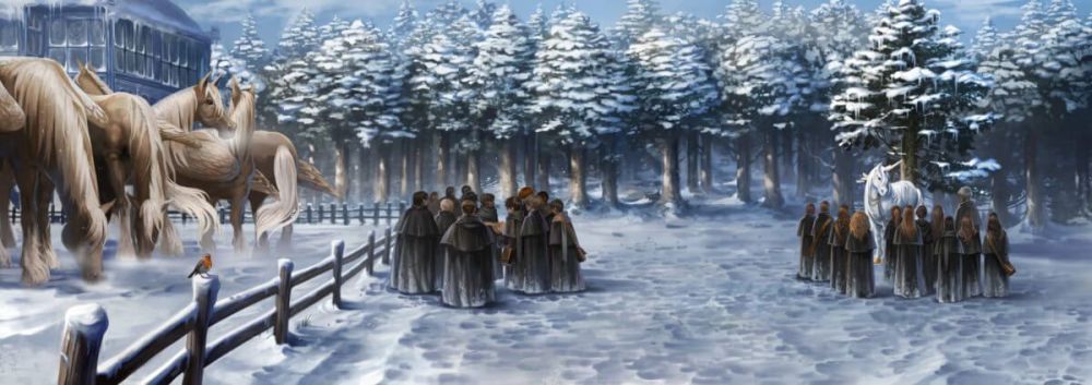 WingedHorses_PM_B4C24M1_StudentsByWingedHorsesAndUnicorn_Moment.thumb.jpg.3d8b33442ae0daf8a9074912a044fb7f.jpg