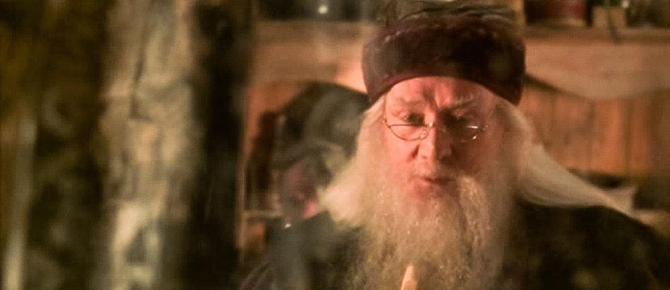2052233106_DumbledorecouldseeHarrywhenHarrywasusingtheinvisibilitycloak.jpg.b69e067a3594a0d04f890e8cd9002df2.jpg