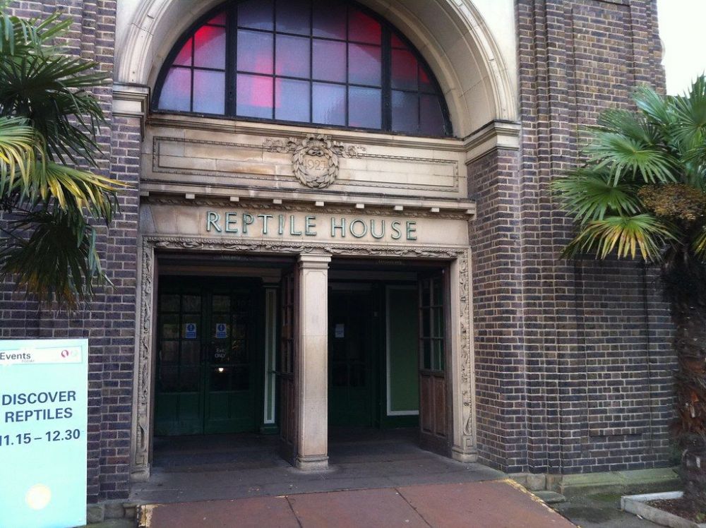1361460646_ReptileHouseLondonZoo.thumb.jpg.dcb30d425a76d8902095706abc254371.jpg