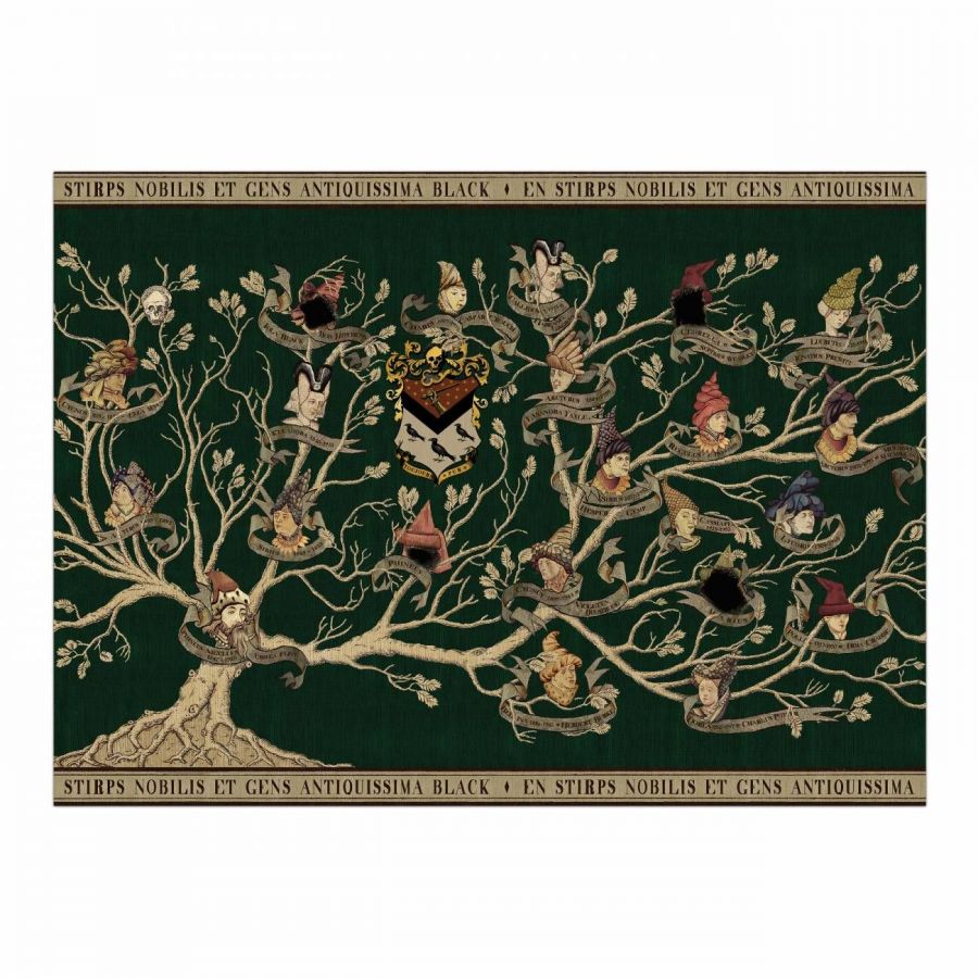 option-1-gallery-01-black-family-tapestry-poster-1300x1300.thumb.jpg.6b788df11ad1807103fab387e59ec632.jpg