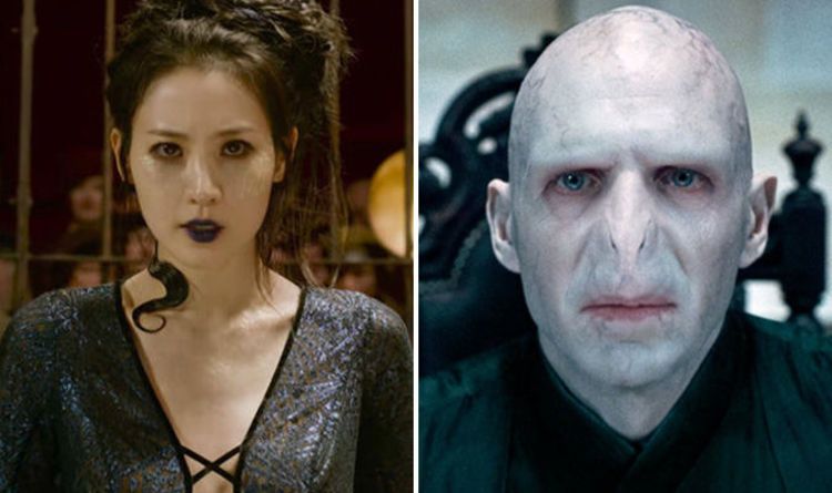 Nagini's Background Story
