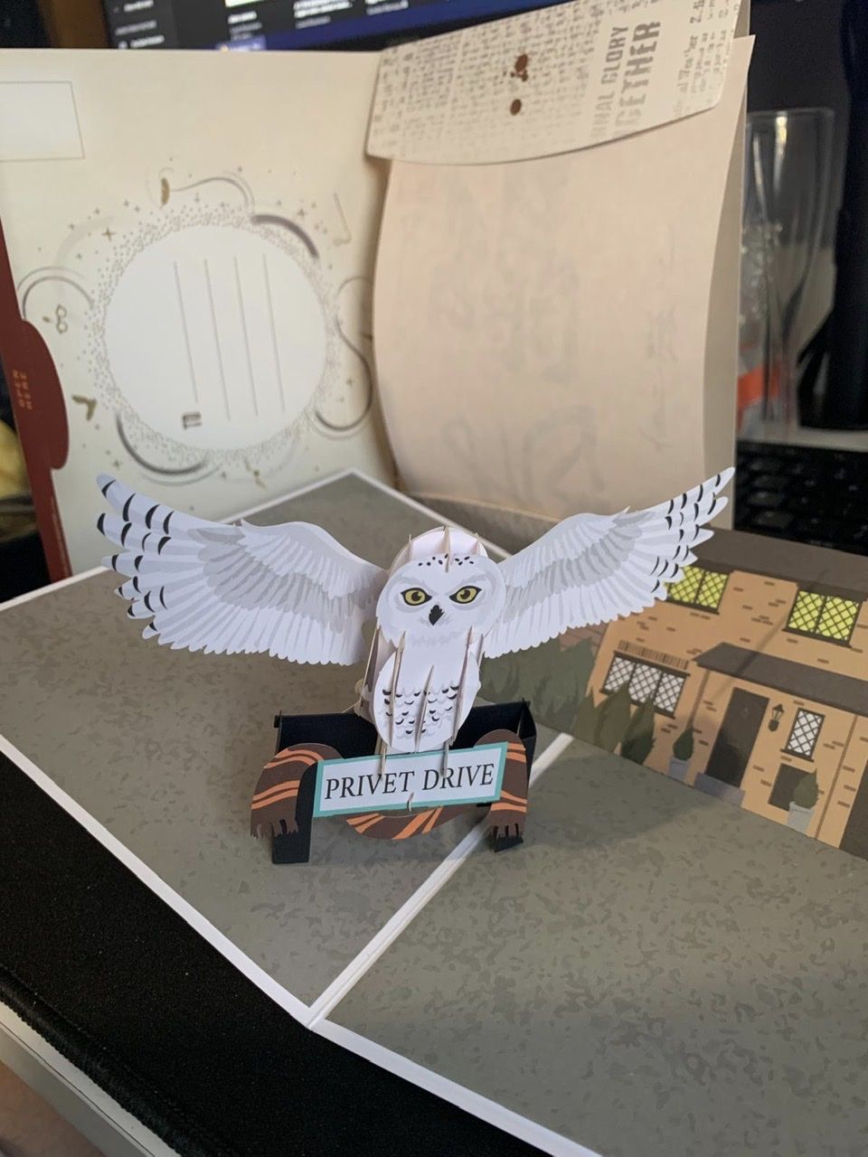 What was the last Harry Potter related item you have bought or received,