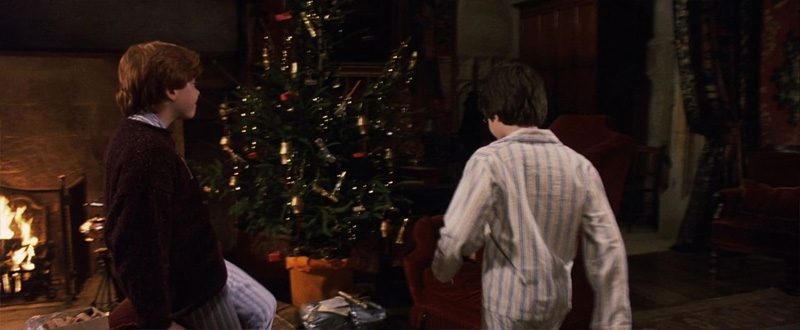 harrypotter100.jpg.cc81871faee80fd6fa78ed3be683503a.jpg