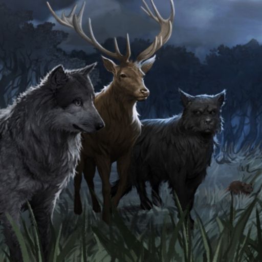 What do you want to know more about from the books?