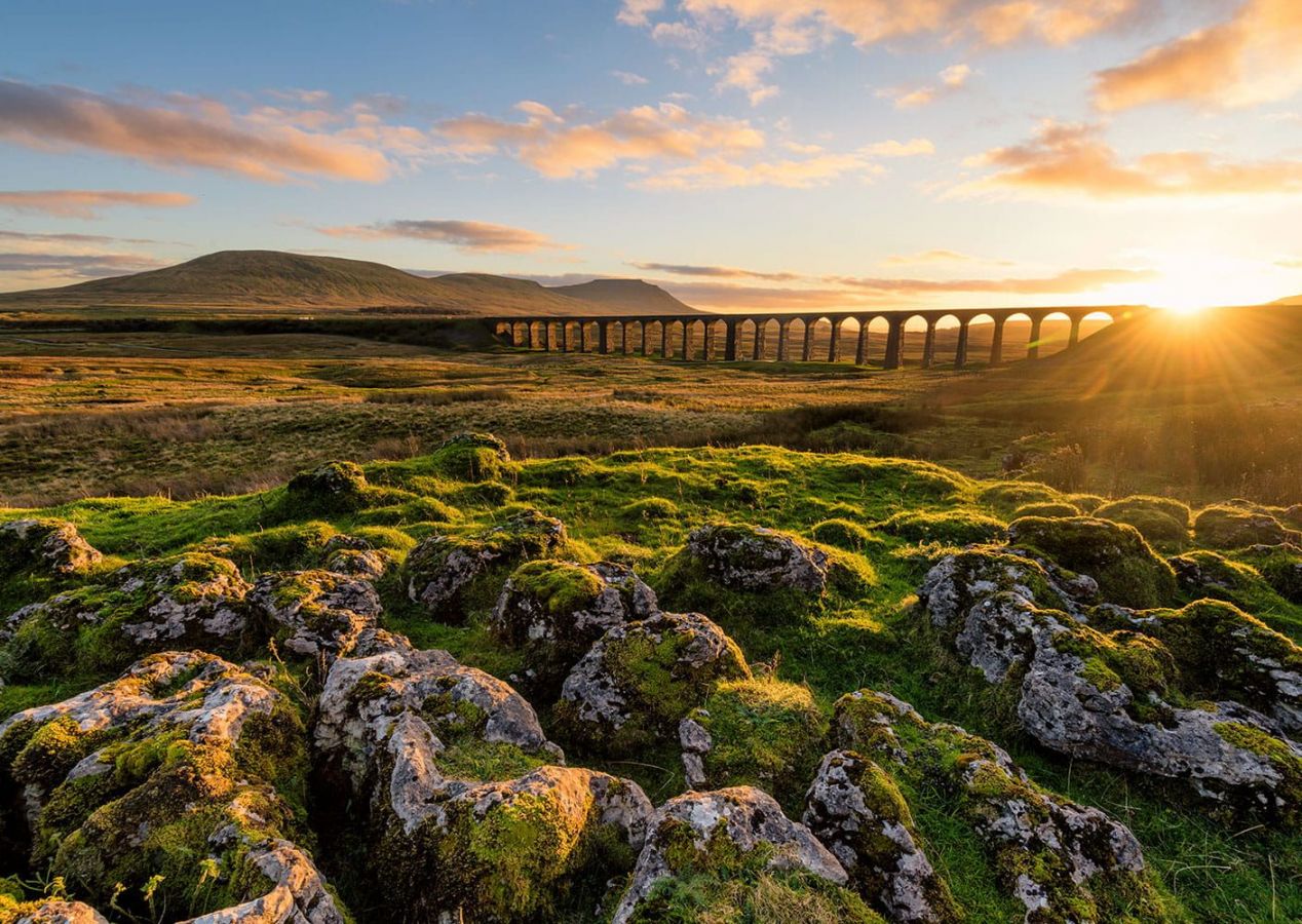 dales-thumb-1.thumb.jpg.8992b41af57f14753a4e794a643c7cf6.jpg