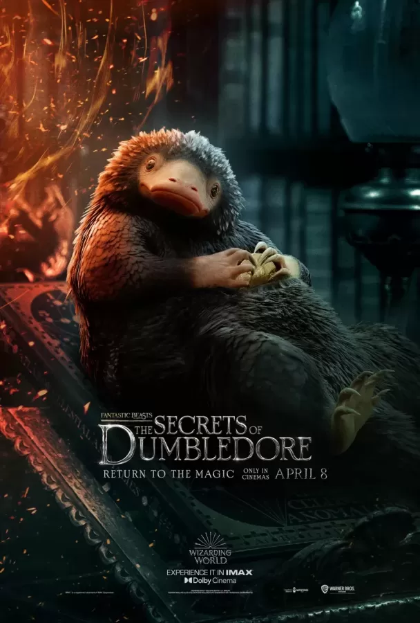 fb3-posters-niffler.thumb.webp.3ff4c346b58e97c5d09b47fcc72d3932.webp