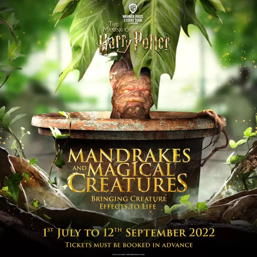 WBStudio_Mandrakes_GrowingVines_1x1_Without.thumb.webp.c075cfb7582be036e529c517ee99d150.webp