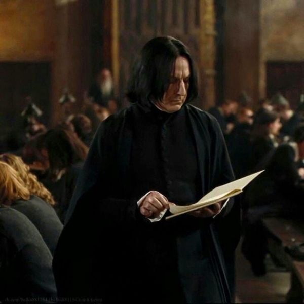 Snape Checking Homework.jpg