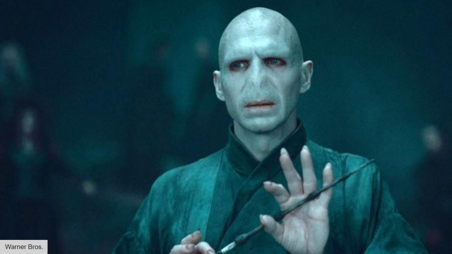 harry-potter-voldemort-10-900x506.jpg.7a88d30ad4e4670e9a36b8ad9a507d7d.jpg