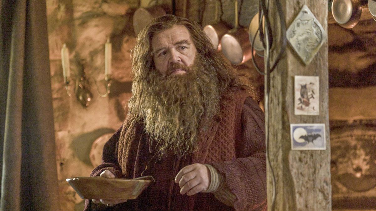 1_hagrid-harry-potter-4039015403.jpg.5201c58e2be2ea83dc73b7cac2f166ca.jpg